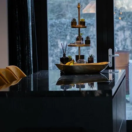 Luxury Egmond Villa Egmond aan Zee